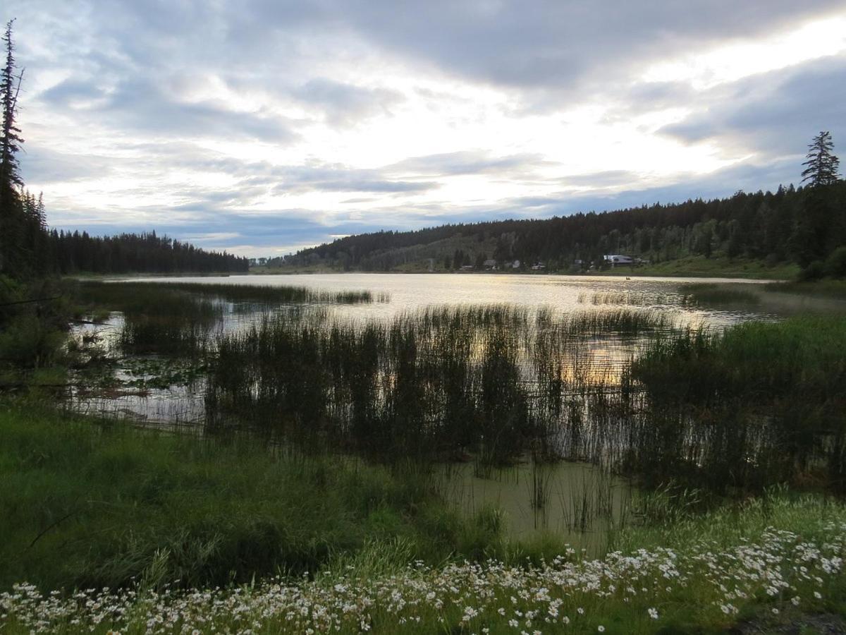 Lac Le Jeune Nature Resort Logan Lake Экстерьер фото